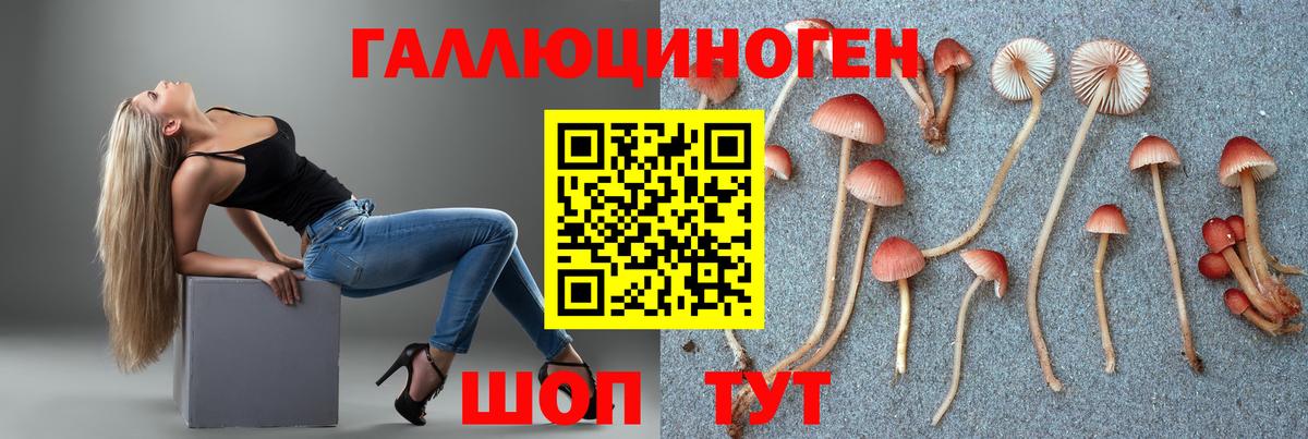 Галлюциногенные грибы Magic Shrooms  Вход с VPN  где купить наркоту  Избербаш  Псилоцибиновые грибы мицелий 