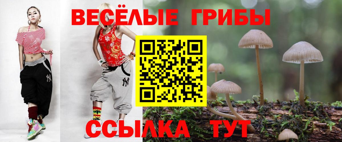Галлюциногенные грибы мухоморы Избербаш